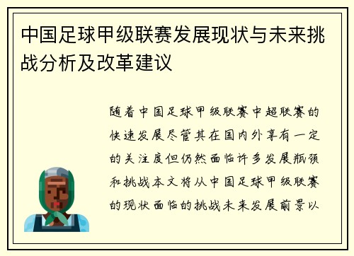 中国足球甲级联赛发展现状与未来挑战分析及改革建议