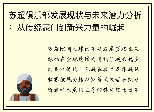 苏超俱乐部发展现状与未来潜力分析：从传统豪门到新兴力量的崛起