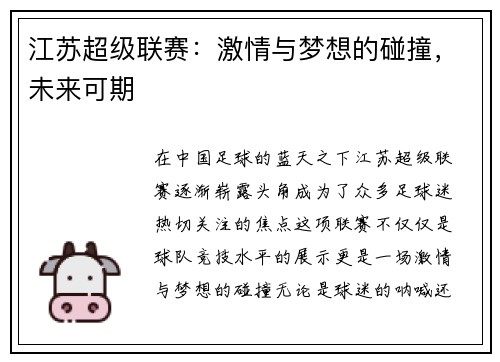 江苏超级联赛：激情与梦想的碰撞，未来可期